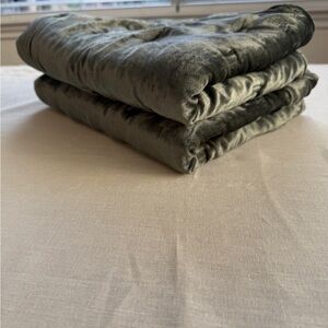 Set of Four West Elm Lush Velvet Shams in Dark Olive Green dark academia vampy